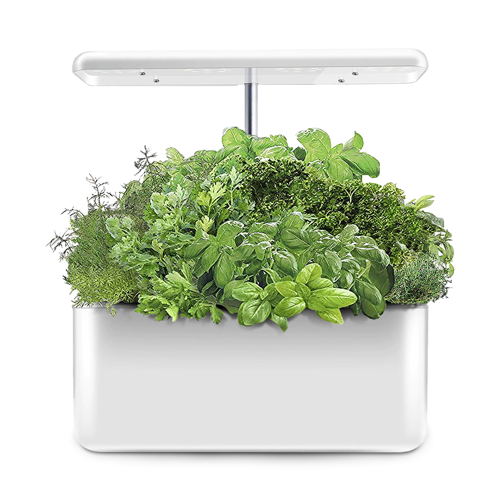 Hydroponic Indoor Growing Kit