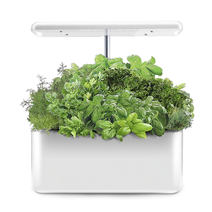 Hydroponic Indoor Growing Kit