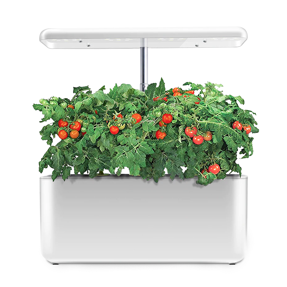 Hydroponic Indoor Growing Kit