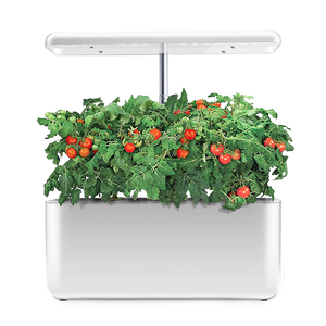 Hydroponic Indoor Growing Kit